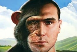 intuitivo-eneagrama